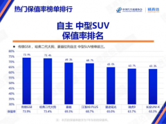 	揭秘SUV界保值传奇：一款车如何成就“不老神话”？